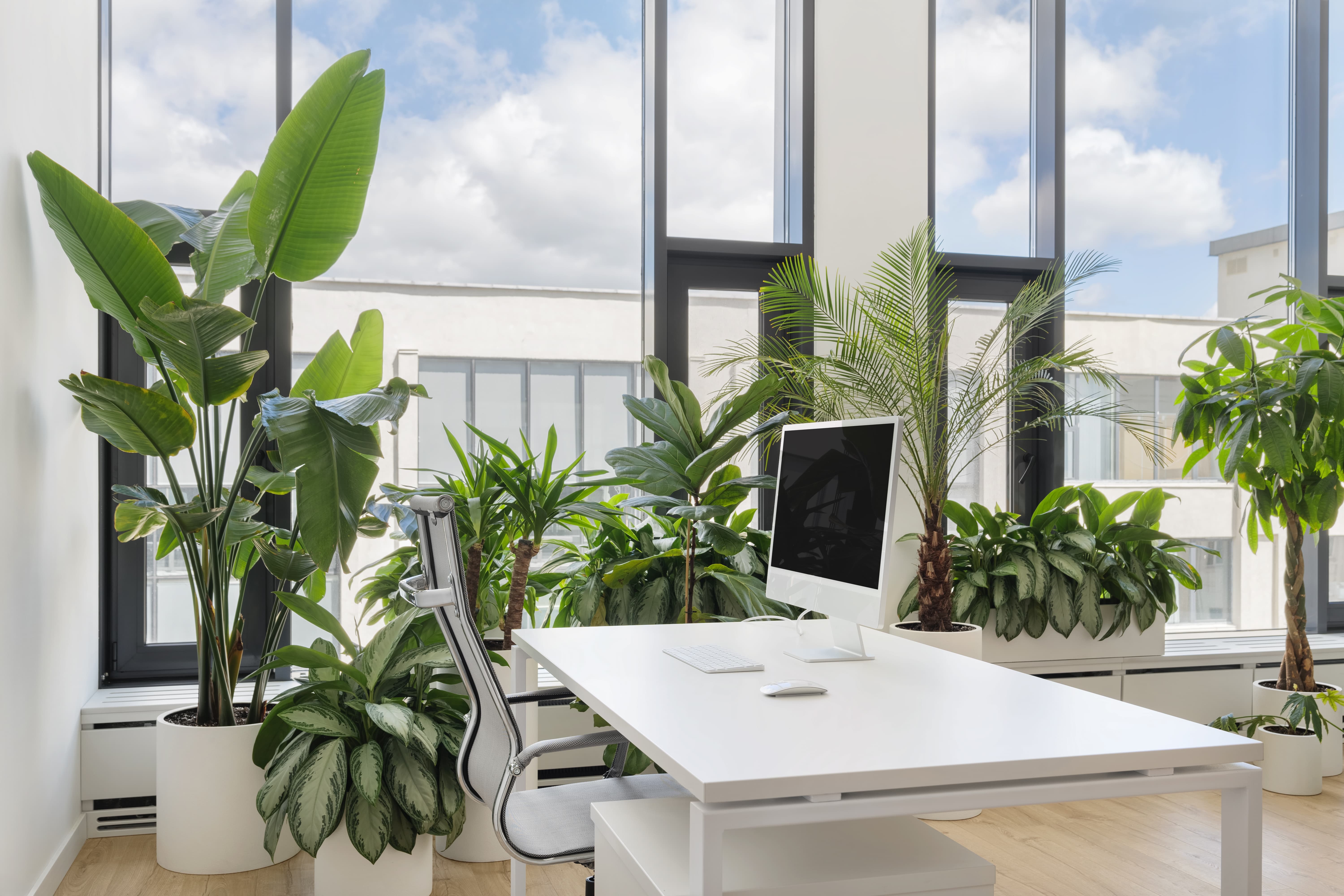 PerfectPanel office