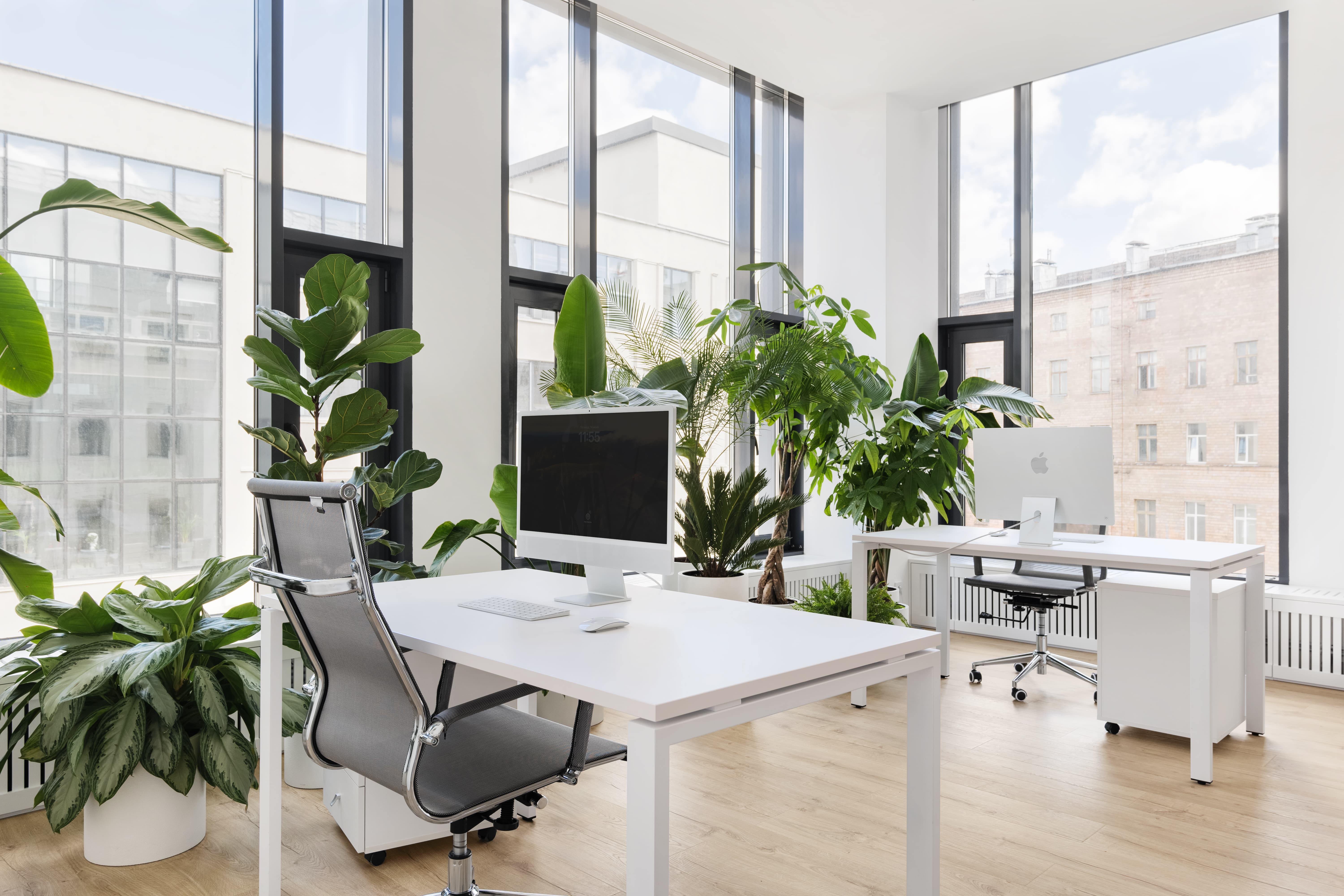 PerfectPanel office