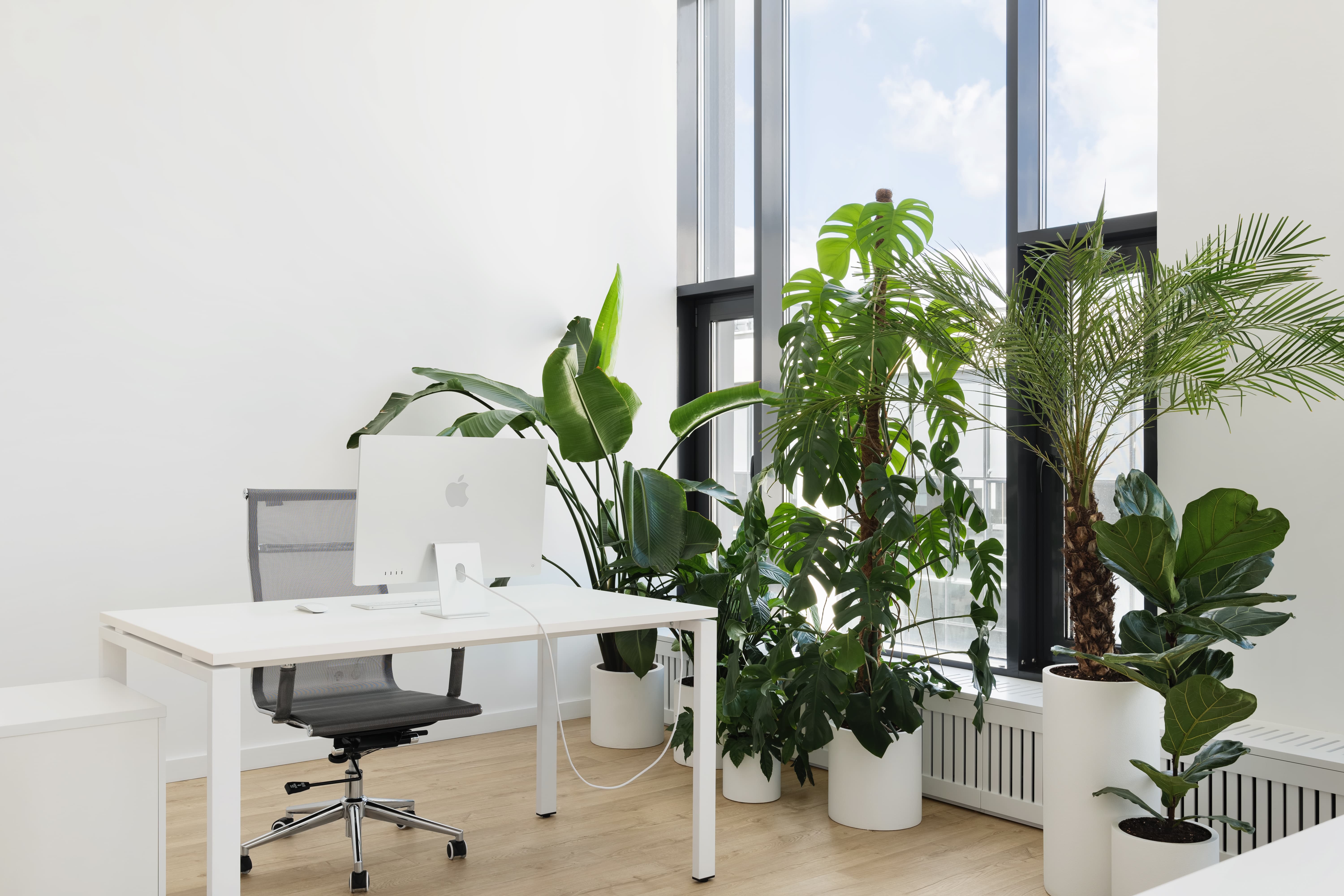 PerfectPanel office