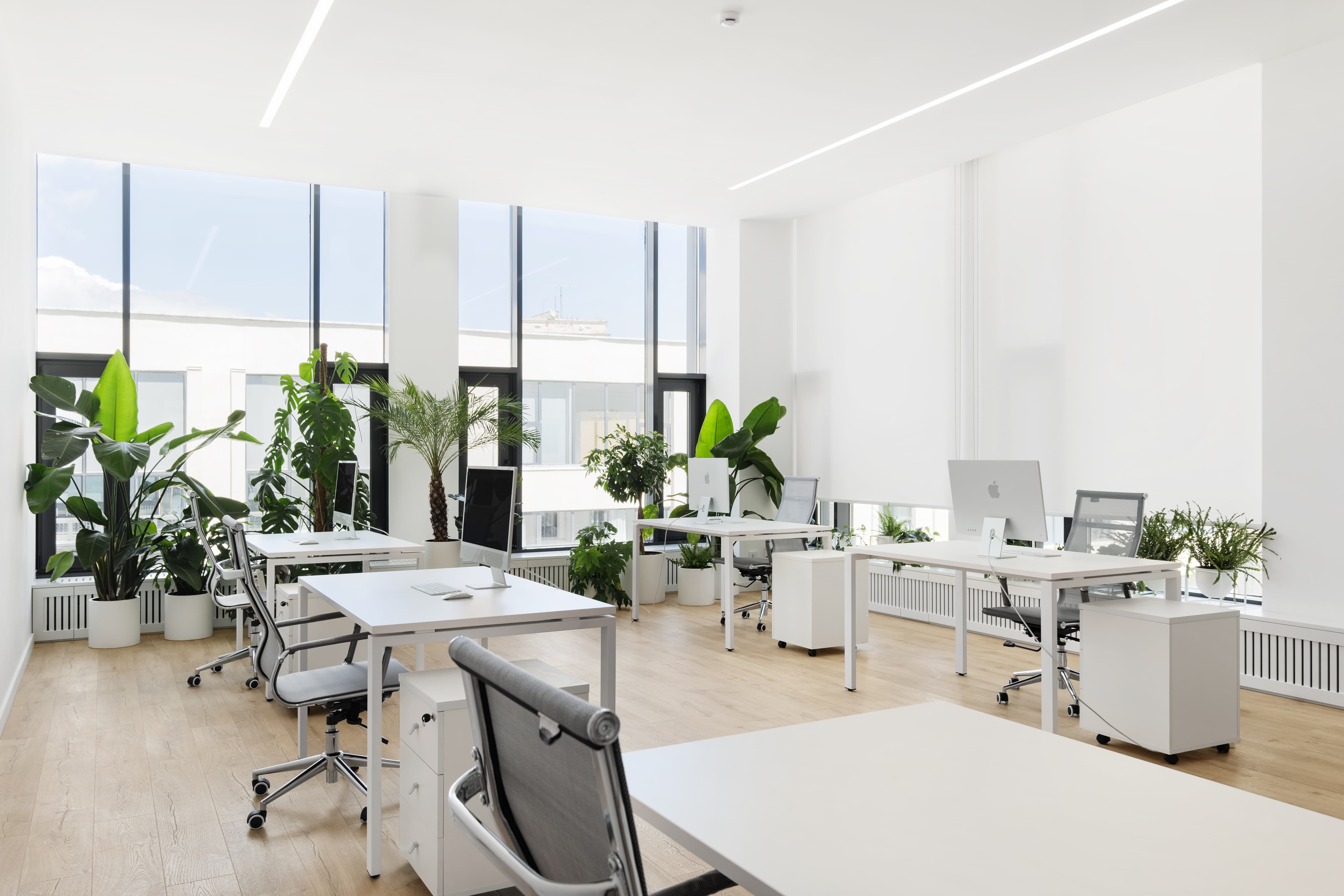 PerfectPanel office